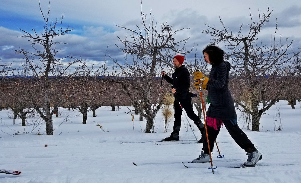 Cross-country skiing at Five Fields Farm in Bridgton