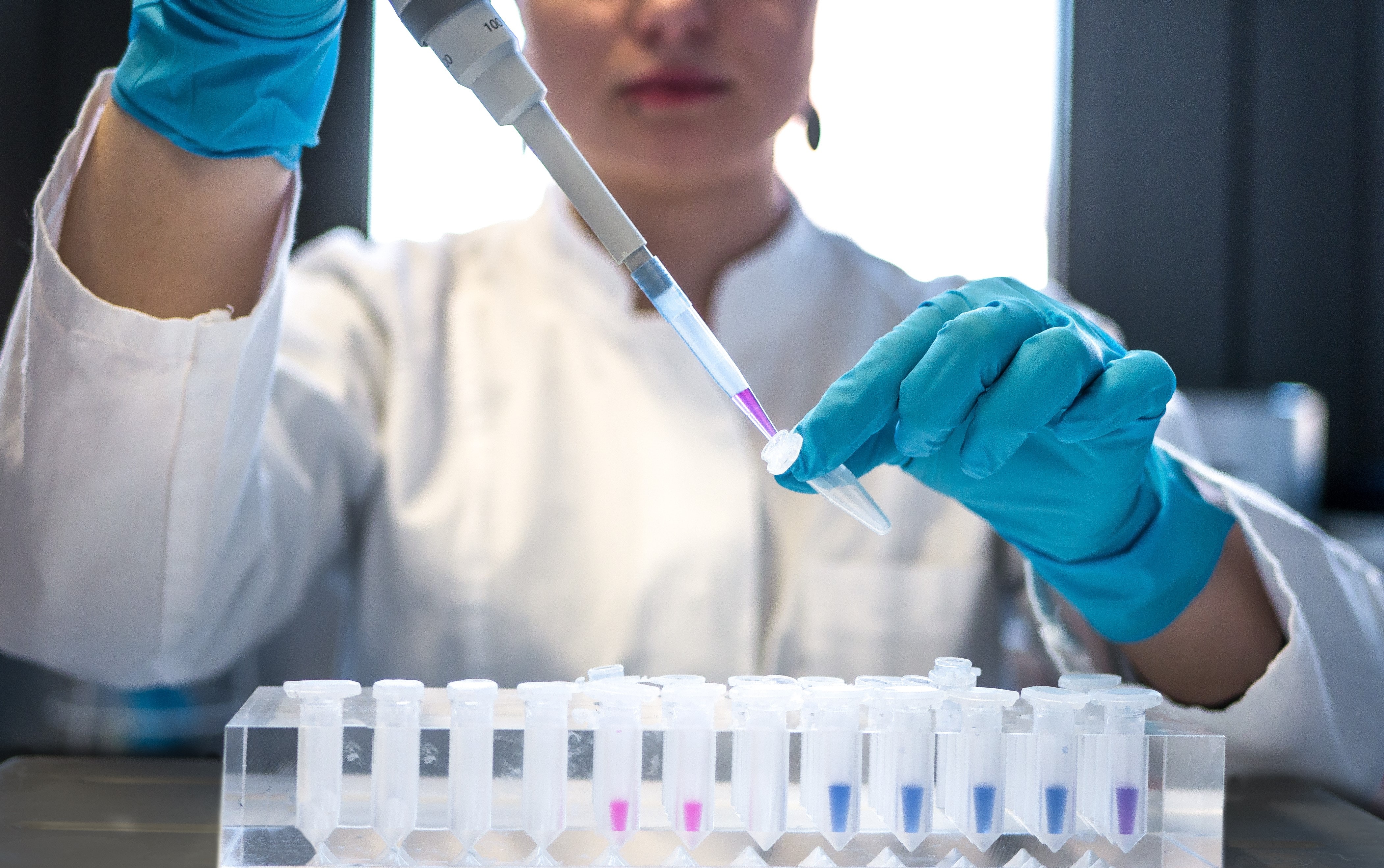 scientist takes a sample in a lab